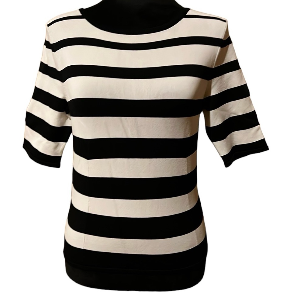 Black & ivory striped sweater.